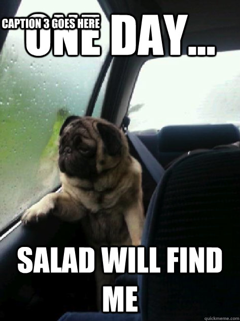 one day... salad will find me Caption 3 goes here  Introspective Pug