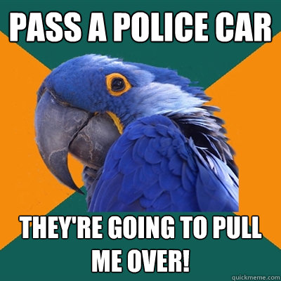 pass a police car they're going to pull me over!  Paranoid Parrot