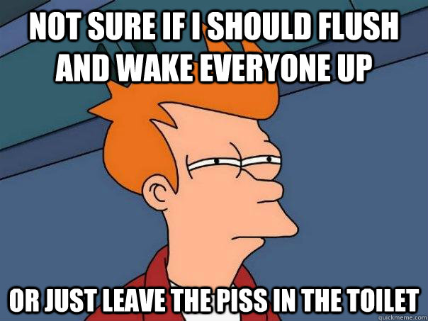 Not sure if I should flush and wake everyone up Or just leave the piss in the toilet  Futurama Fry