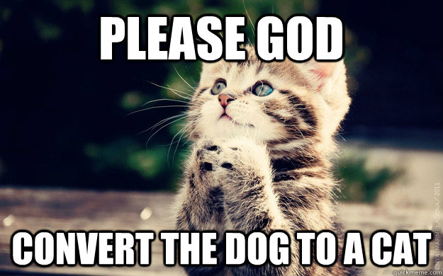 please god convert the dog to a cat - please god convert the dog to a cat  Misc