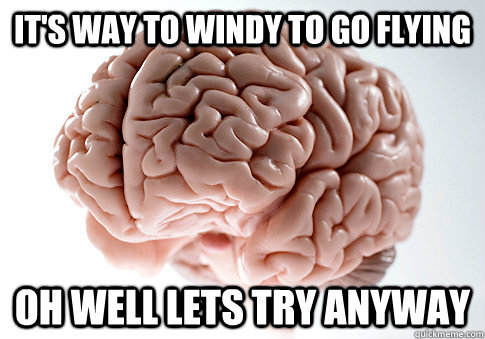 it's way to windy to go flying Oh well lets try anyway - it's way to windy to go flying Oh well lets try anyway  Scumbag Brain