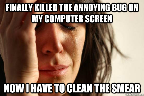 finally killed the annoying bug on my computer screen now i have to clean the smear  First World Problems
