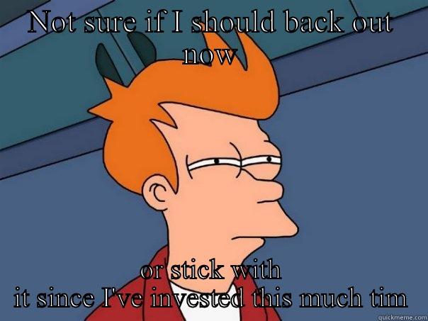 NOT SURE IF I SHOULD BACK OUT NOW OR STICK WITH IT SINCE I'VE INVESTED THIS MUCH TIM Futurama Fry