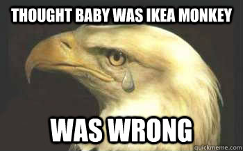 Thought baby was ikea monkey was wrong - Thought baby was ikea monkey was wrong  Misunderstood Eagle