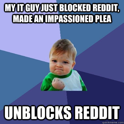 My it guy just blocked reddit, made an impassioned plea unblocks reddit  Success Kid