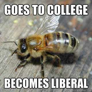 Goes to college Becomes liberal   Hivemind bee