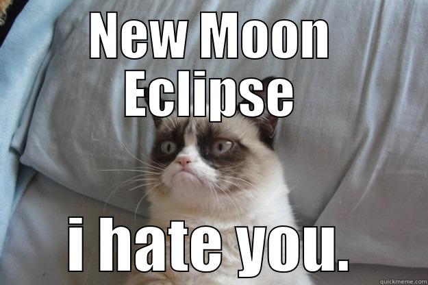 NEW MOON ECLIPSE I HATE YOU. Grumpy Cat
