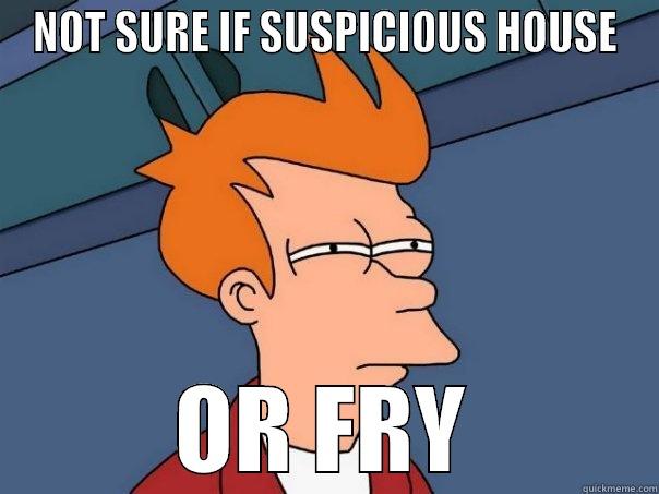 not sure - NOT SURE IF SUSPICIOUS HOUSE OR FRY Futurama Fry