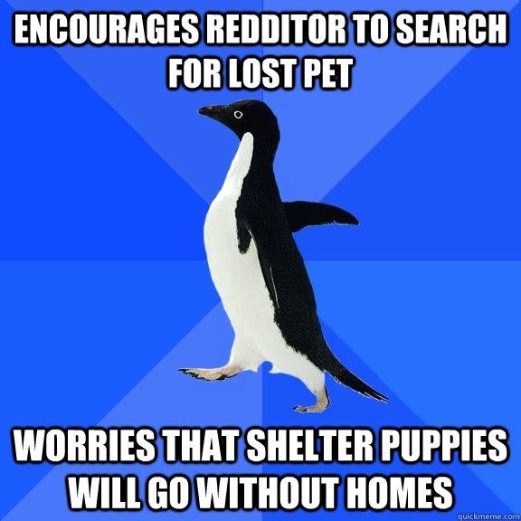 Encourages Redditor To Search For Lost Pet Worries That Shelter Puppies Will Go Without Homes  Socially Awkward Penguin