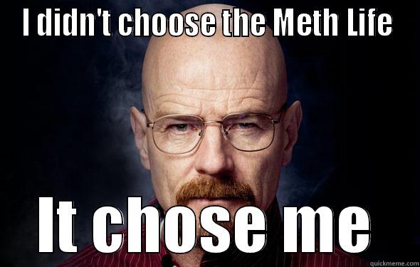 I DIDN'T CHOOSE THE METH LIFE IT CHOSE ME Misc