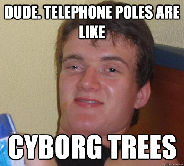 dude. telephone poles are like cyborg trees - dude. telephone poles are like cyborg trees  10 Guy