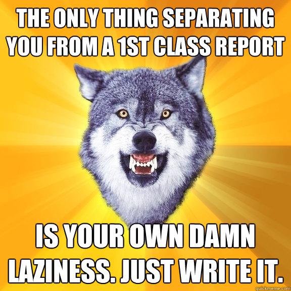 The only thing separating you from a 1st class report is your own damn laziness. just write it.  Courage Wolf