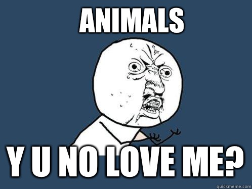 Animals Y u no love me?  Y U No