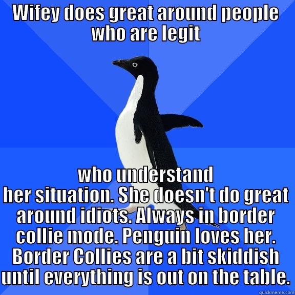 WIFEY DOES GREAT AROUND PEOPLE WHO ARE LEGIT WHO UNDERSTAND HER SITUATION. SHE DOESN'T DO GREAT AROUND IDIOTS. ALWAYS IN BORDER COLLIE MODE. PENGUIN LOVES HER. BORDER COLLIES ARE A BIT SKIDDISH UNTIL EVERYTHING IS OUT ON THE TABLE. Socially Awkward Penguin