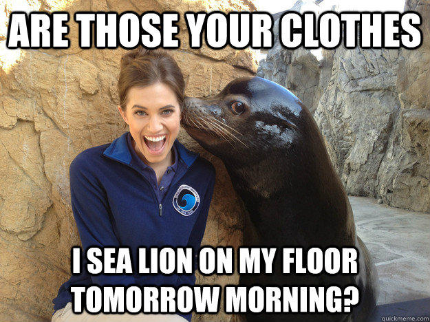 are those your clothes i sea lion on my floor tomorrow morning?  Crazy Secret