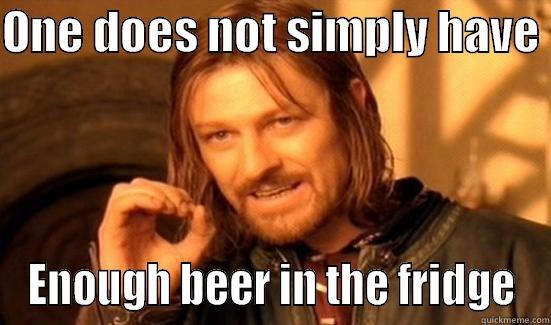 ONE DOES NOT SIMPLY HAVE  ENOUGH BEER IN THE FRIDGE Boromir