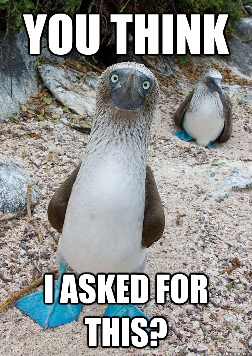 You think I asked for this? - You think I asked for this?  Misc