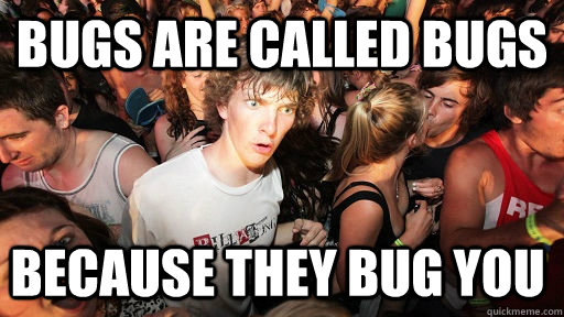 Bugs are called bugs because they bug you  Sudden Clarity Clarence