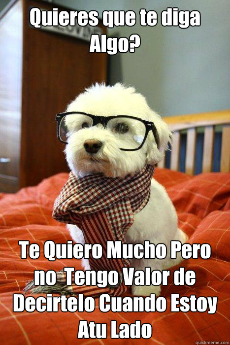 Quieres que te diga Algo? Te Quiero Mucho Pero no  Tengo Valor de Decirtelo Cuando Estoy Atu Lado - Quieres que te diga Algo? Te Quiero Mucho Pero no  Tengo Valor de Decirtelo Cuando Estoy Atu Lado  Hipster Dog