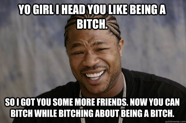 Yo Girl I head you like being a bitch. So I got you some more friends. now you can bitch while bitching about being a bitch.  Xzibit meme