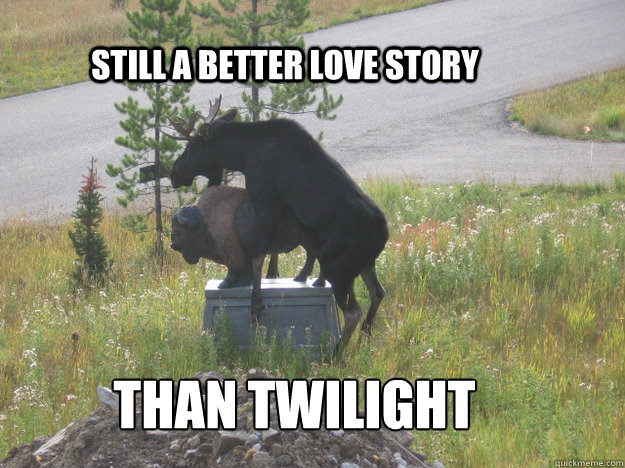 Still A better love story Than Twilight - Still A better love story Than Twilight  Horny Moose