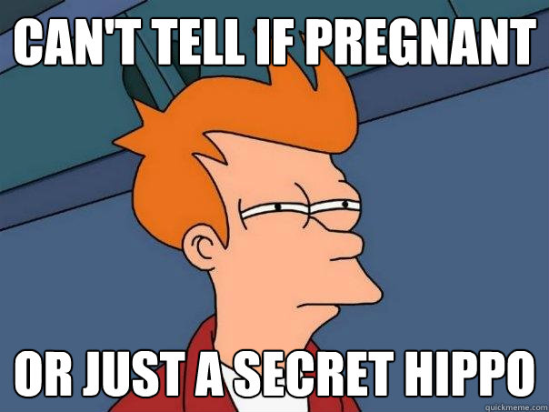 Can't tell if pregnant or just a secret hippo  Futurama Fry