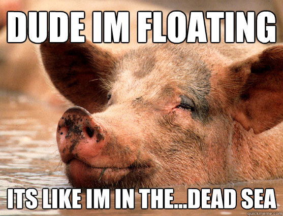 dude im floating its like im in the...dead sea  Stoner Pig