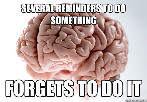 SEVERAL REMINDERS to do something forgets to do it  Scumbag Brain