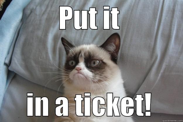 PUT IT IN A TICKET! Grumpy Cat