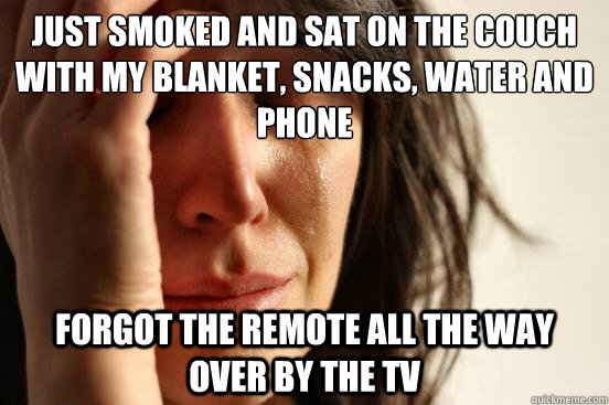 Just smoked and sat on the couch with my blanket, snacks, water and phone Forgot the remote all the way over by the tv  First World Problems