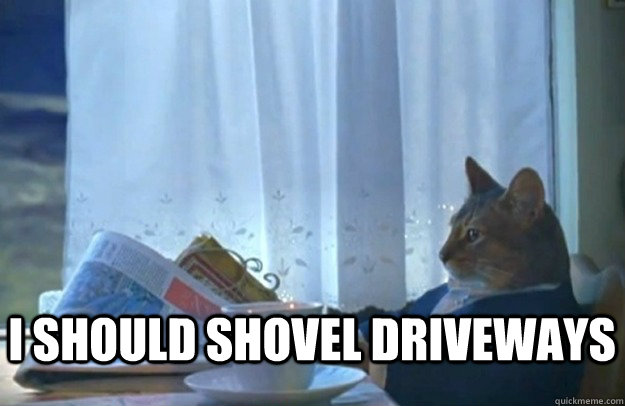 I should shovel driveways  Sophisticated Cat