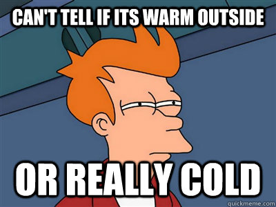 Can't tell if its warm outside or really cold  Fry meme