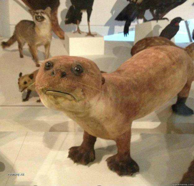    betrayed otter