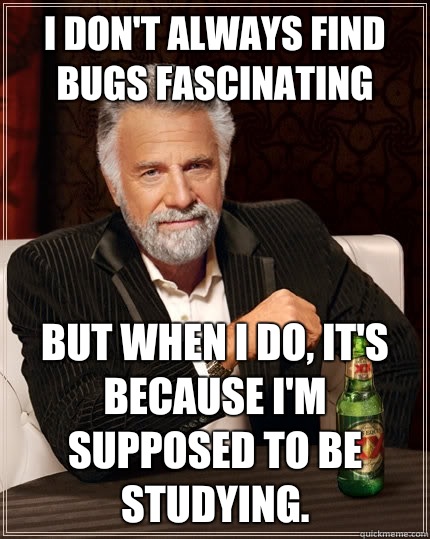 I don't always find bugs fascinating but when I do, it's because I'm supposed to be studying.  The Most Interesting Man In The World