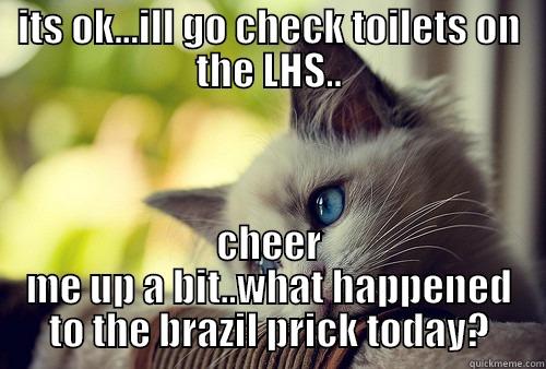 ITS OK...ILL GO CHECK TOILETS ON THE LHS.. CHEER ME UP A BIT..WHAT HAPPENED TO THE BRAZIL PRICK TODAY? First World Problems Cat