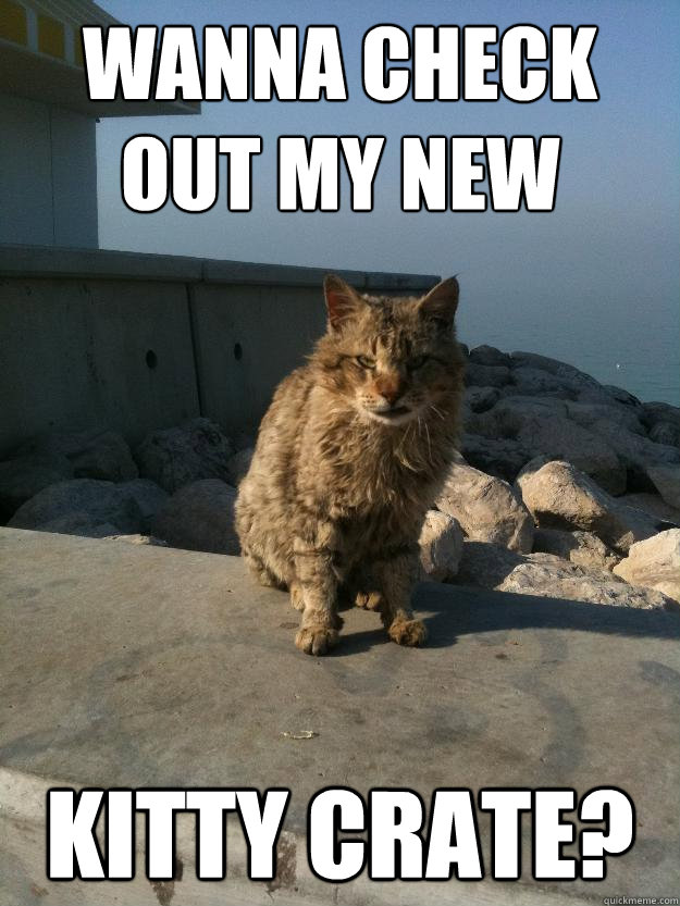 wanna check out my new kitty crate?  Bitter Cat