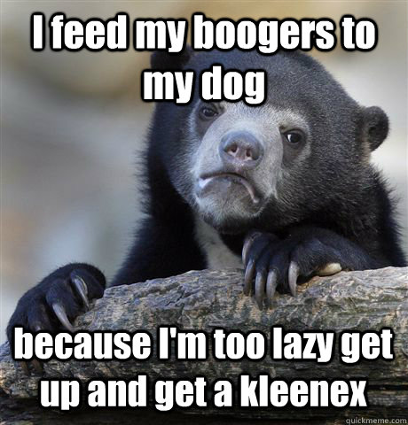 I feed my boogers to my dog because I'm too lazy get up and get a kleenex - I feed my boogers to my dog because I'm too lazy get up and get a kleenex  Confession Bear