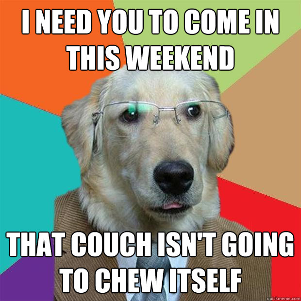 I need you to come in this weekend that couch isn't going to chew itself - I need you to come in this weekend that couch isn't going to chew itself  Tyler March