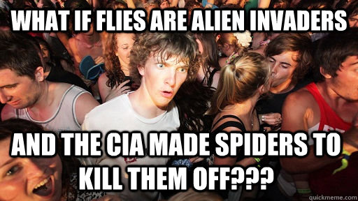 What if flies are alien invaders and the CIA made spiders to kill them off???  Sudden Clarity Clarence