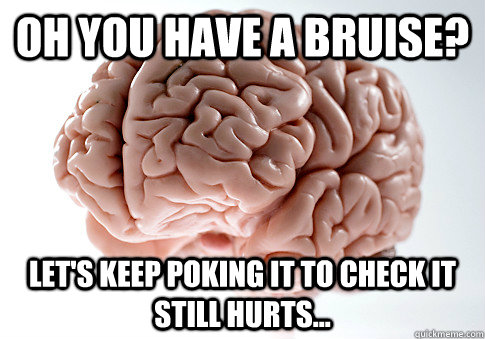 Oh you have a bruise? Let's keep poking it to check it still hurts...  Scumbag Brain