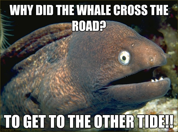 why did the whale cross the road? To get to the other tide!! - why did the whale cross the road? To get to the other tide!!  Bad Joke Eel