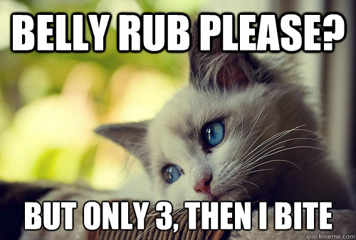 Belly rub please? but only 3, then i bite - Belly rub please? but only 3, then i bite  First World Cat Problems