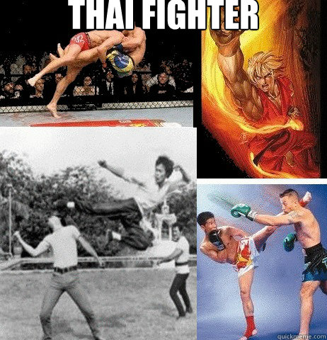 Thai fighter      Muay Thai