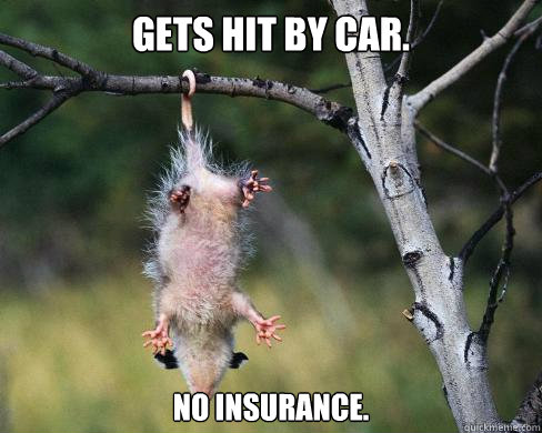 Gets hit by car. No insurance.  