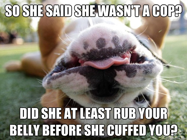 So she said she wasn't a cop? Did she at least rub your belly before she cuffed you?  - So she said she wasn't a cop? Did she at least rub your belly before she cuffed you?   I am not a lawyer dog