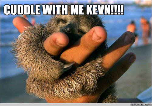 CUDDLE WITH ME KEVN!!!!          ♥   cute baby sloth