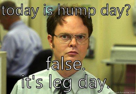 hump day? - TODAY IS HUMP DAY?  FALSE. IT'S LEG DAY. Schrute