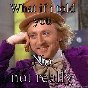 WHAT IF I TOLD YOU NO NOT REALLY Condescending Wonka