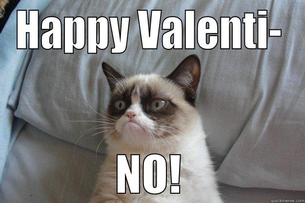 Valentines Day be like... - HAPPY VALENTI- NO! Grumpy Cat