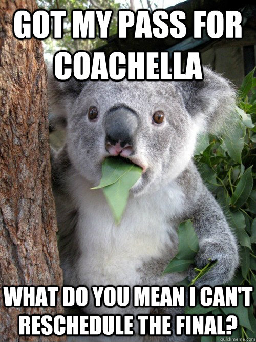 Got my pass for coachella What do you mean I can't reschedule the final?  koala bear